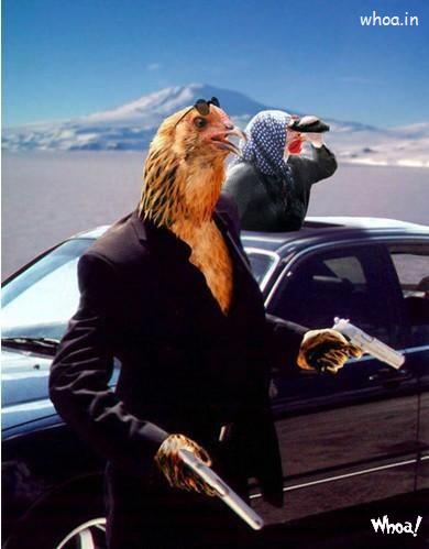 Funny Facebook Underworld Bird Image Photo